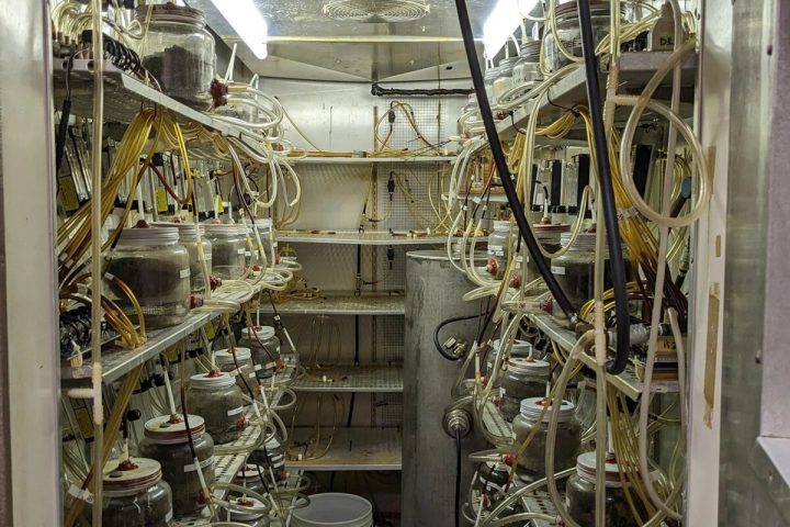 Starch Addition Enhances Compostability of Bioplastics