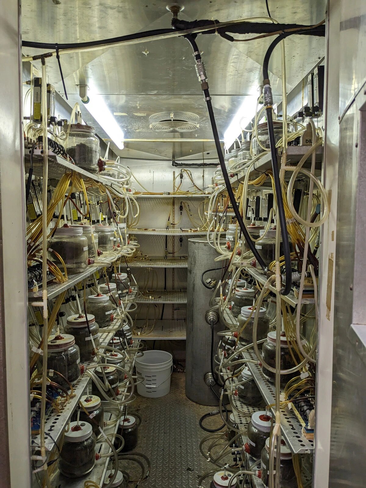 Starch Addition Enhances Compostability of Bioplastics