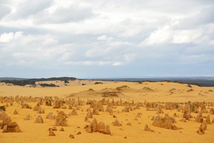 Geostationary Satellite Uncovers Widespread Midday Depression in Dryland Photosynthesis Amidst 2020 Heat Wave