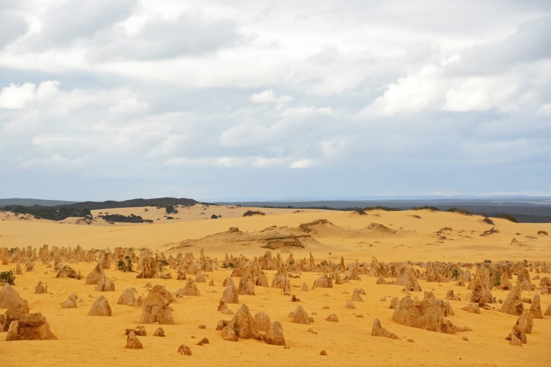 Geostationary Satellite Uncovers Widespread Midday Depression in Dryland Photosynthesis Amidst 2020 Heat Wave