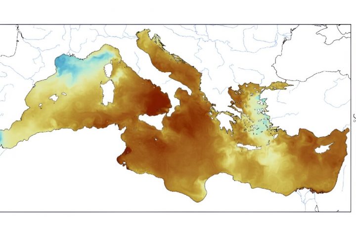 Scientists Warn of Decoupling Warming Trend in Detecting Marine Heat Waves