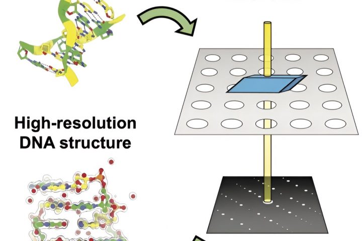 Researchers Show First Use of MicroED for Nucleic Acid Crystallography