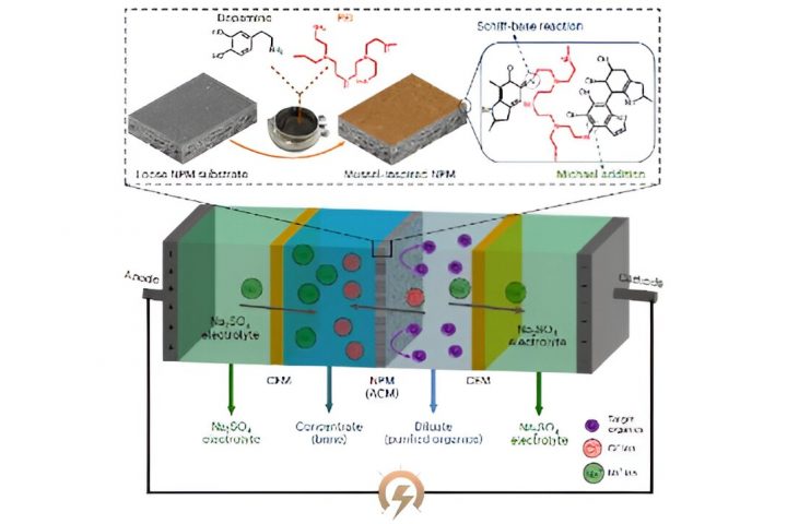 Mussel-Inspired Membrane Enhances Sustainability and Value in Industrial Wastewater Treatment