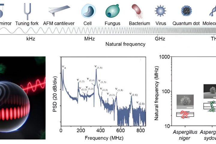 Single-Particle Photoacoustic Vibrational Spectroscopy Utilizing Optical Microresonators
