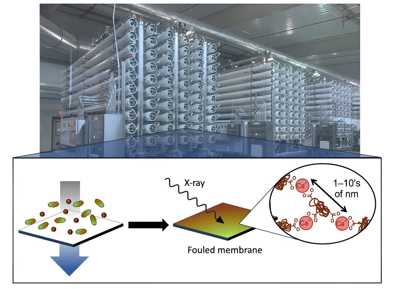 Preventing Water-Treatment Membrane Fouling