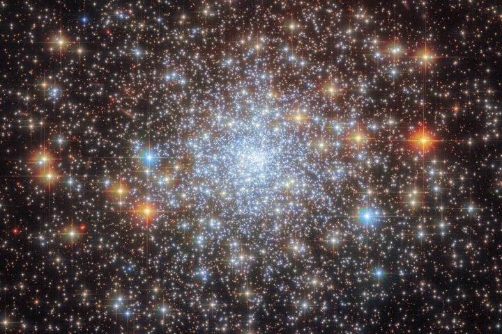 Hubble captures view of NGC 6652 globular cluster