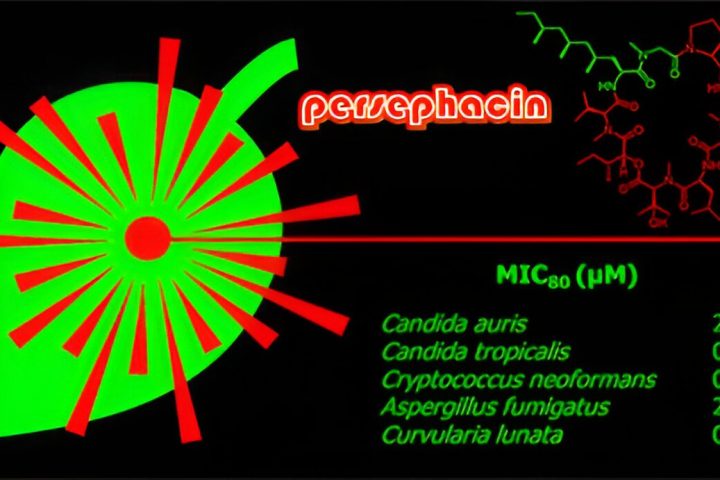 Researchers Unearth Antifungal Molecule