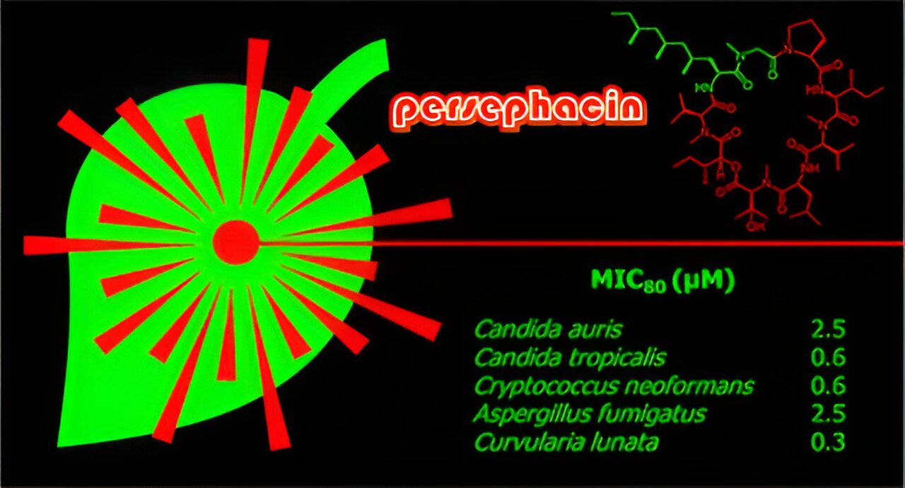 Researchers Unearth Antifungal Molecule