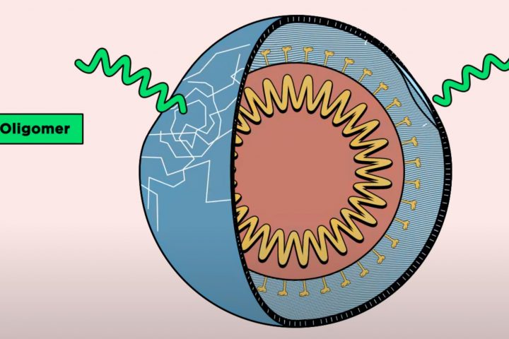 Novel Molecules Combat Viruses by Puncturing Bubble-Like Membranes