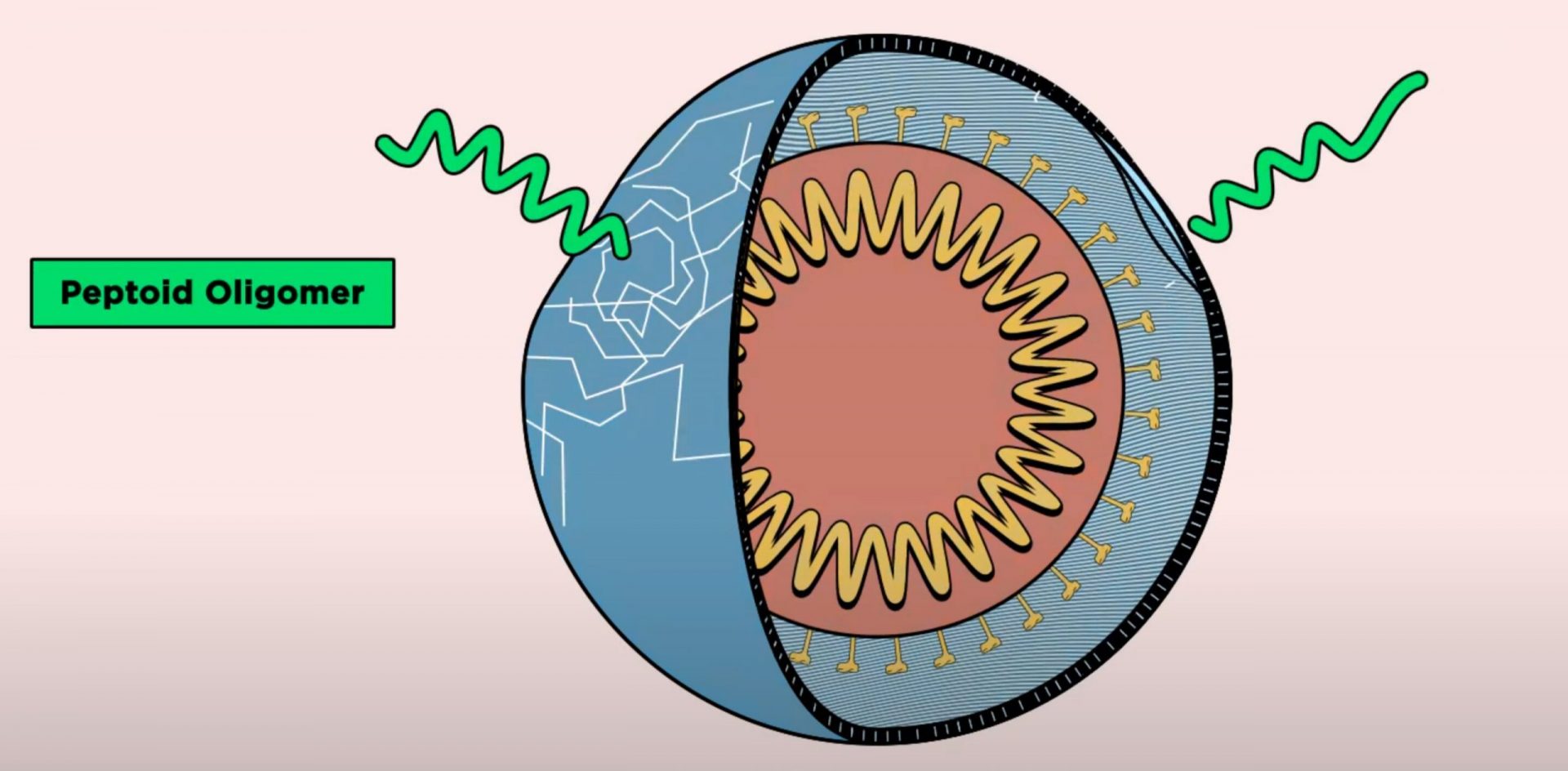 Novel Molecules Combat Viruses by Puncturing Bubble-Like Membranes