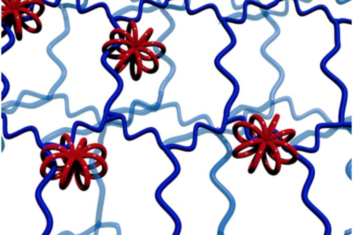 Multicyclic Molecular Wheels Hold Promising Polymer Potential