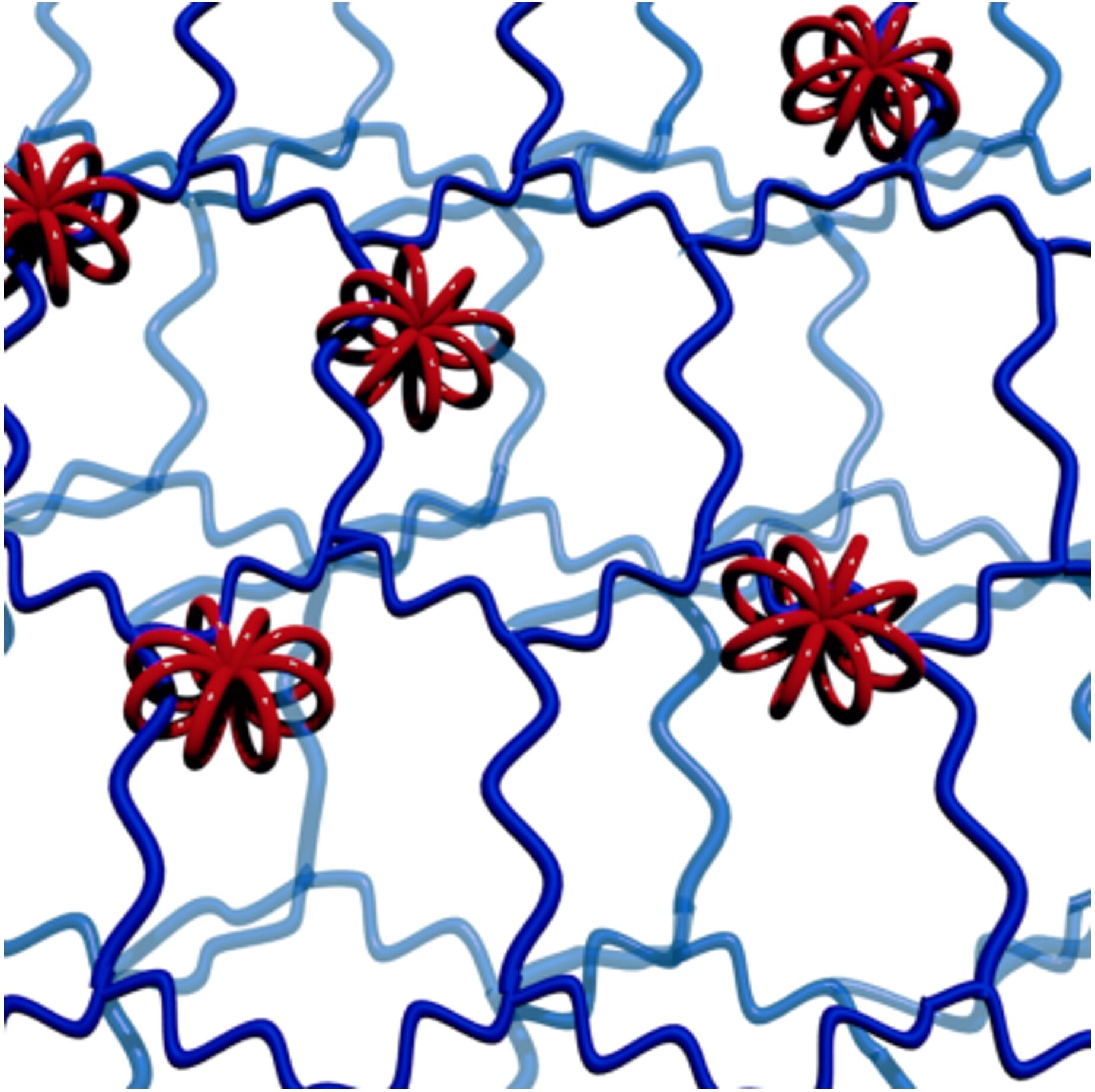 Multicyclic Molecular Wheels Hold Promising Polymer Potential