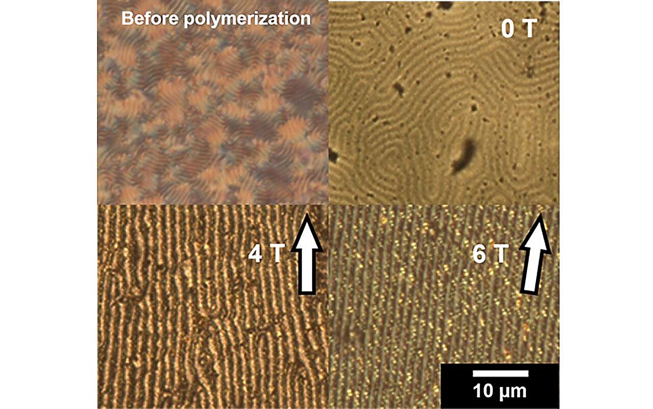 Helical and Striped Conducting Polymers: A Fascinating Structural Arrangement