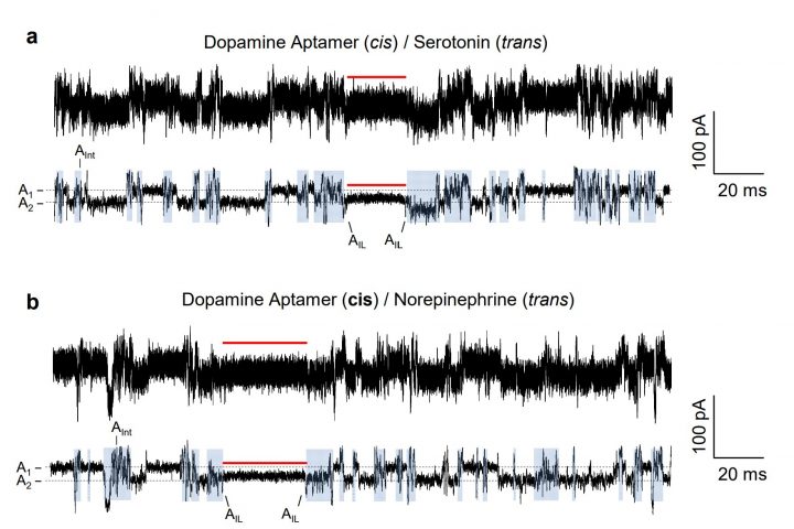New Tool Enhances Accuracy of Medical Biosensors