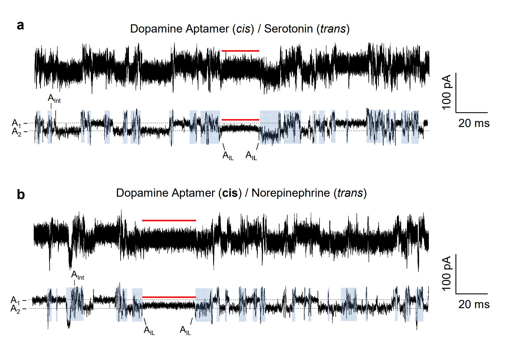 New Tool Enhances Accuracy of Medical Biosensors