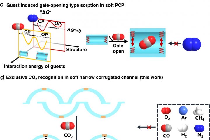 Interactive Networks for Capturing Gas with High Selectivity