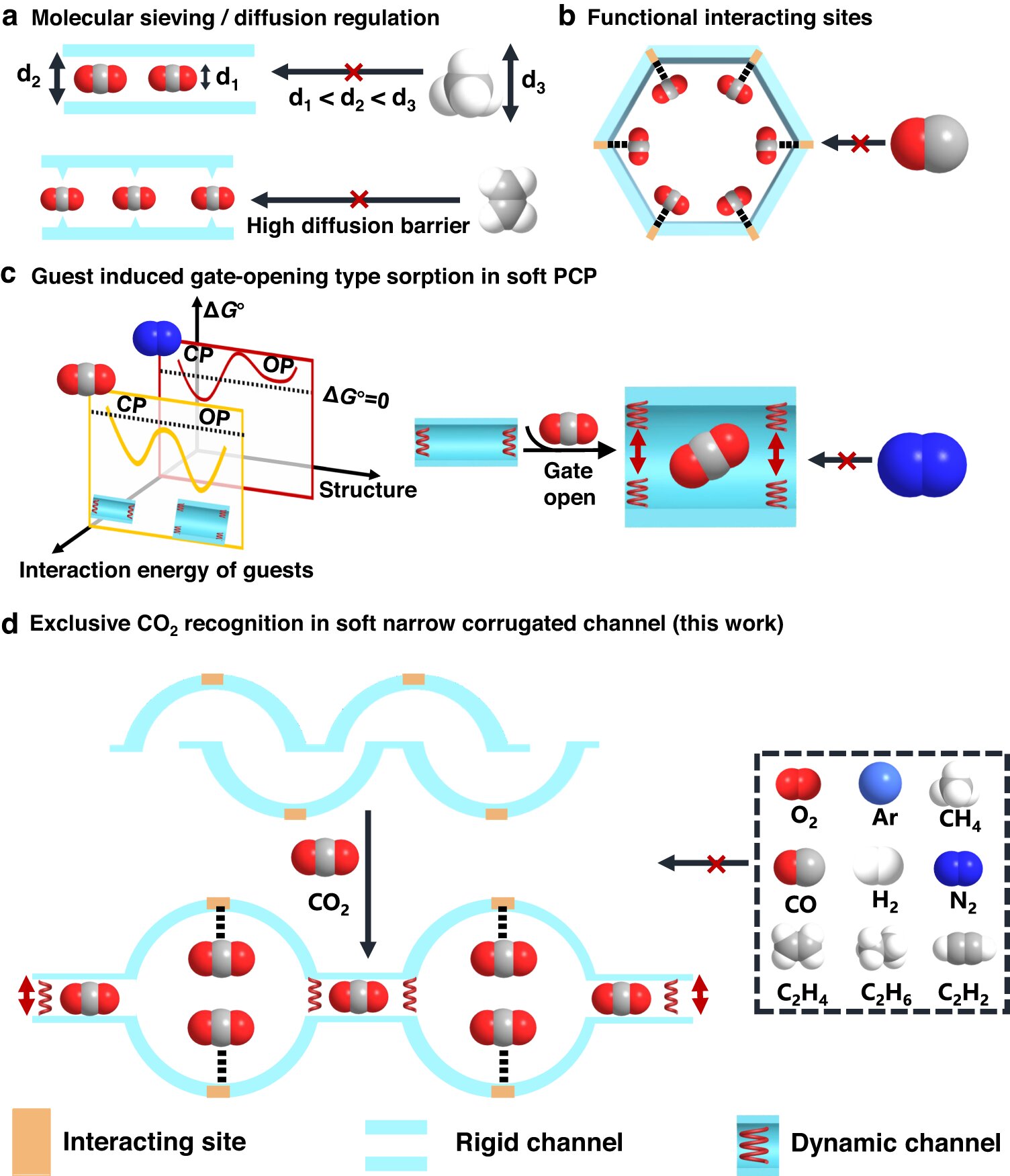 Interactive Networks for Capturing Gas with High Selectivity
