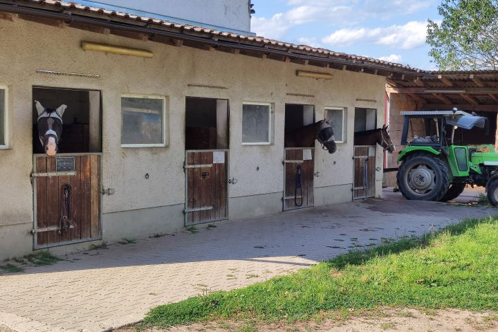 Research Team Discovers Human Odorant Receptor for Horse Stable Odor, Implications for Food Testing