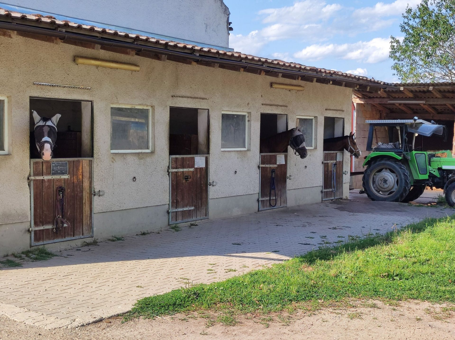 Research Team Discovers Human Odorant Receptor for Horse Stable Odor, Implications for Food Testing