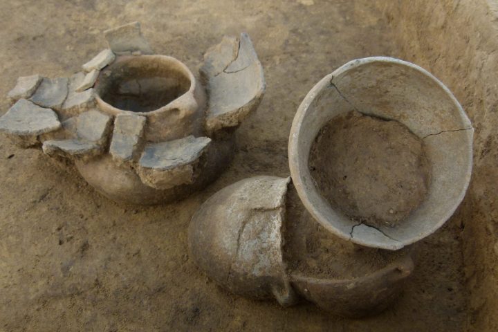 New research reveals correlation between early Europeans’ cultural and genetic evolution across millennia