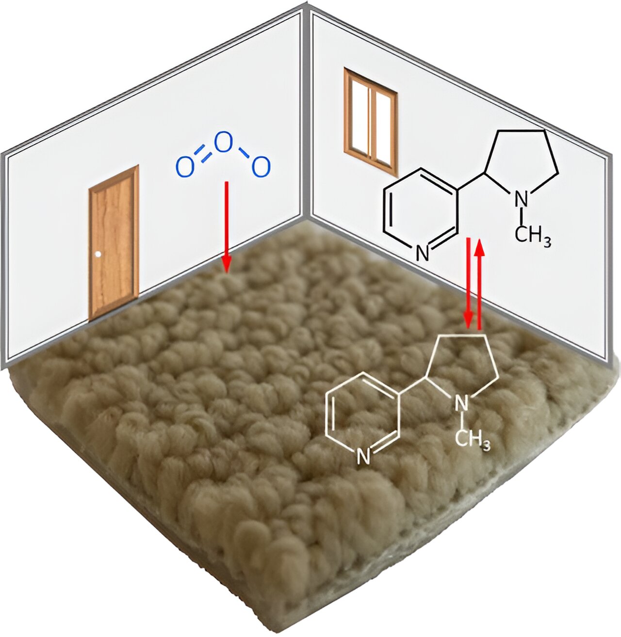 Carpets Retain Stubborn Grip on Tobacco Smoke Pollutants