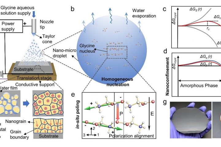 Scientists Develop Resorbable Biomaterials for Implantable Medical Devices