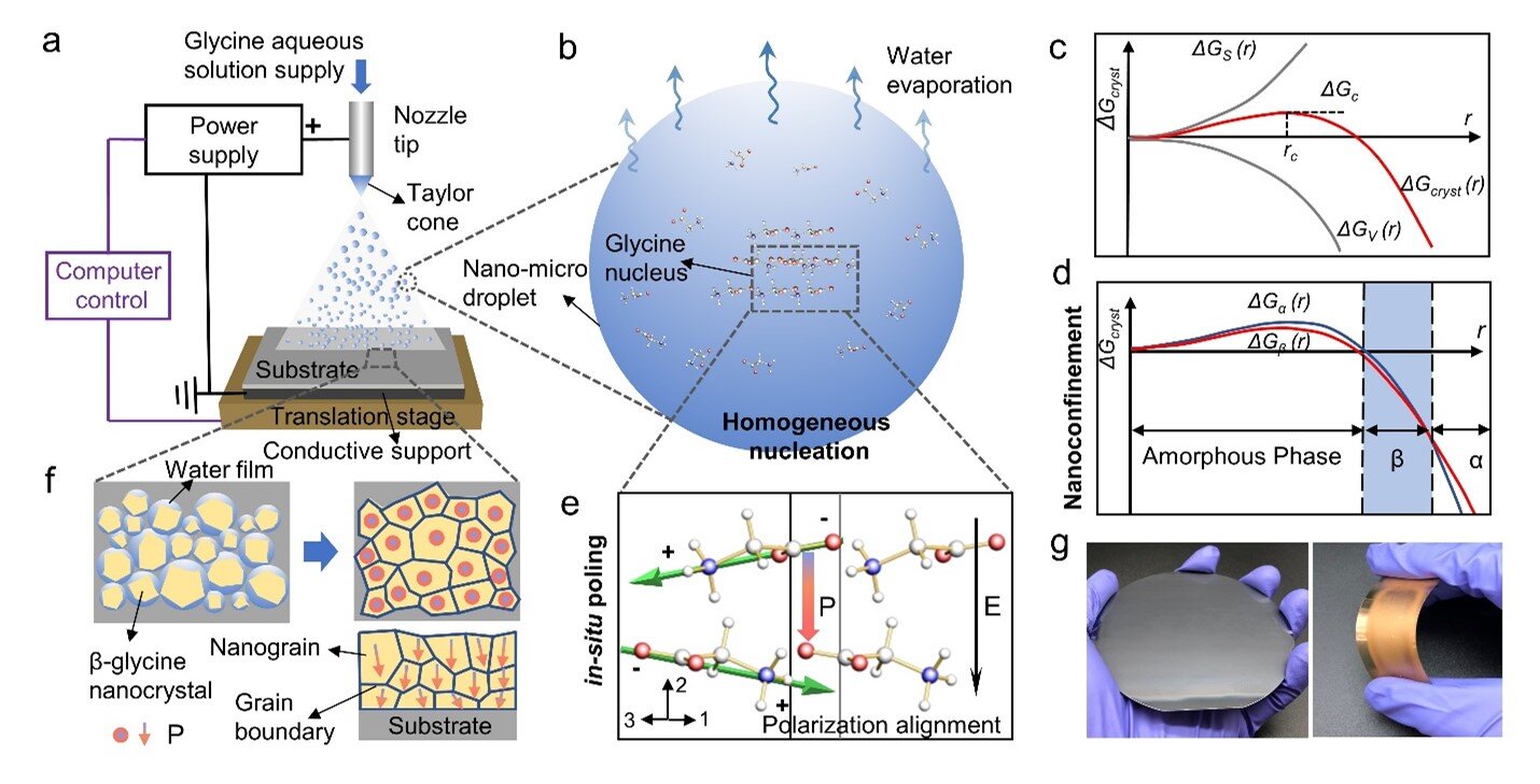 Scientists Develop Resorbable Biomaterials for Implantable Medical Devices