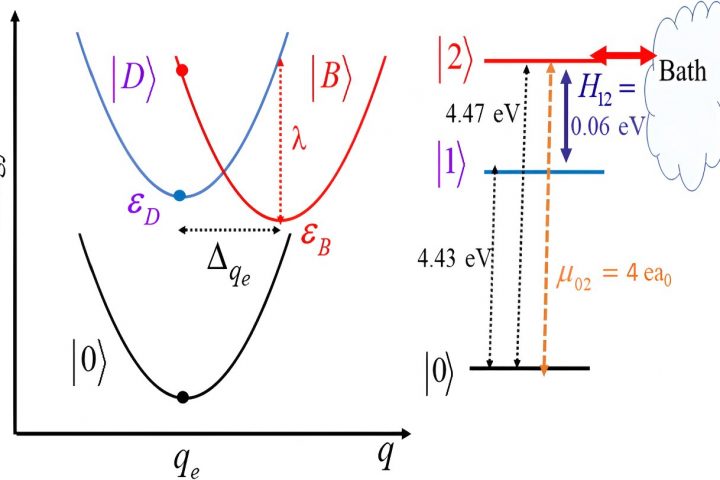 Capturing the Evolution of Complex Quantum Systems