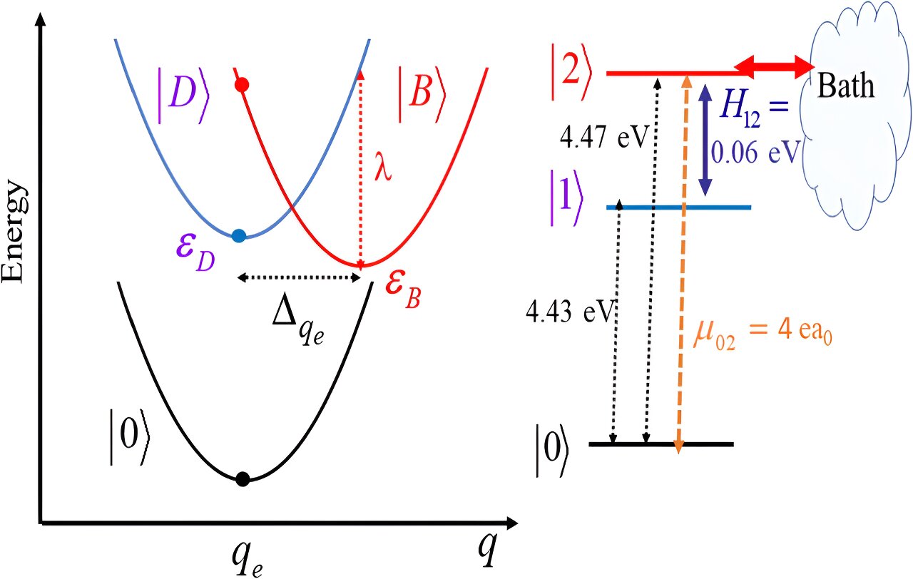 Capturing the Evolution of Complex Quantum Systems