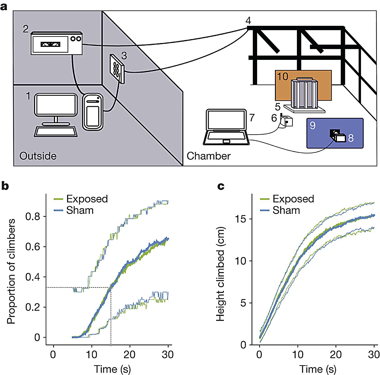 Replication of Prior Studies Fails to Find Magnetic Sensing in Fruit Flies