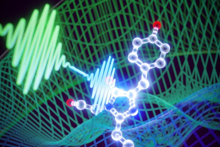 Bringing Ultrafast Physics to Structural Biology Unveils Molecular ‘Coherence’ Dance with Unprecedented Clarity