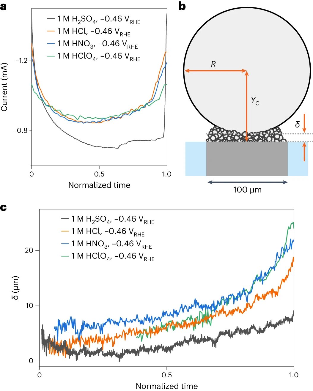 Role of Bubble Formation in Sustainable Hydrogen Production