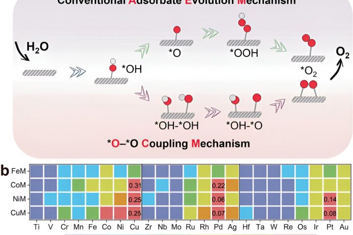 Novel Mechanism Boosts Reaction Activity in Oxygen Evolution on Dual-Atom Catalysts