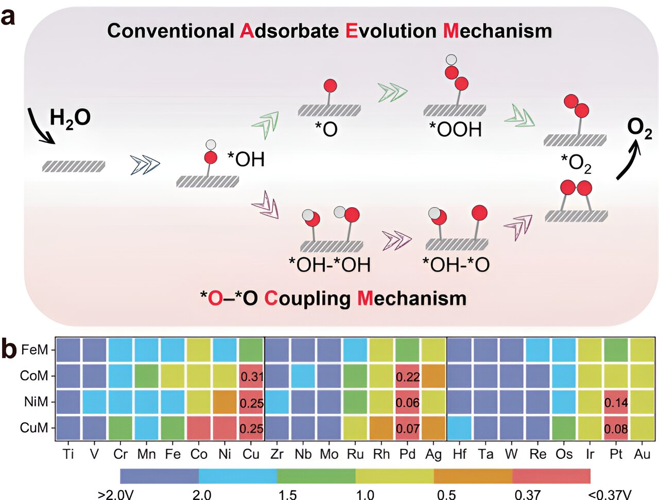 Novel Mechanism Boosts Reaction Activity in Oxygen Evolution on Dual-Atom Catalysts