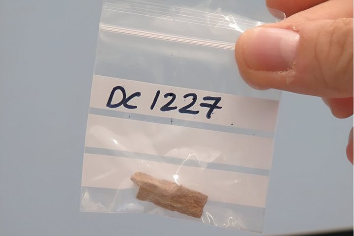 Researchers Investigate Climate Factors Influencing Early Human Interbreeding