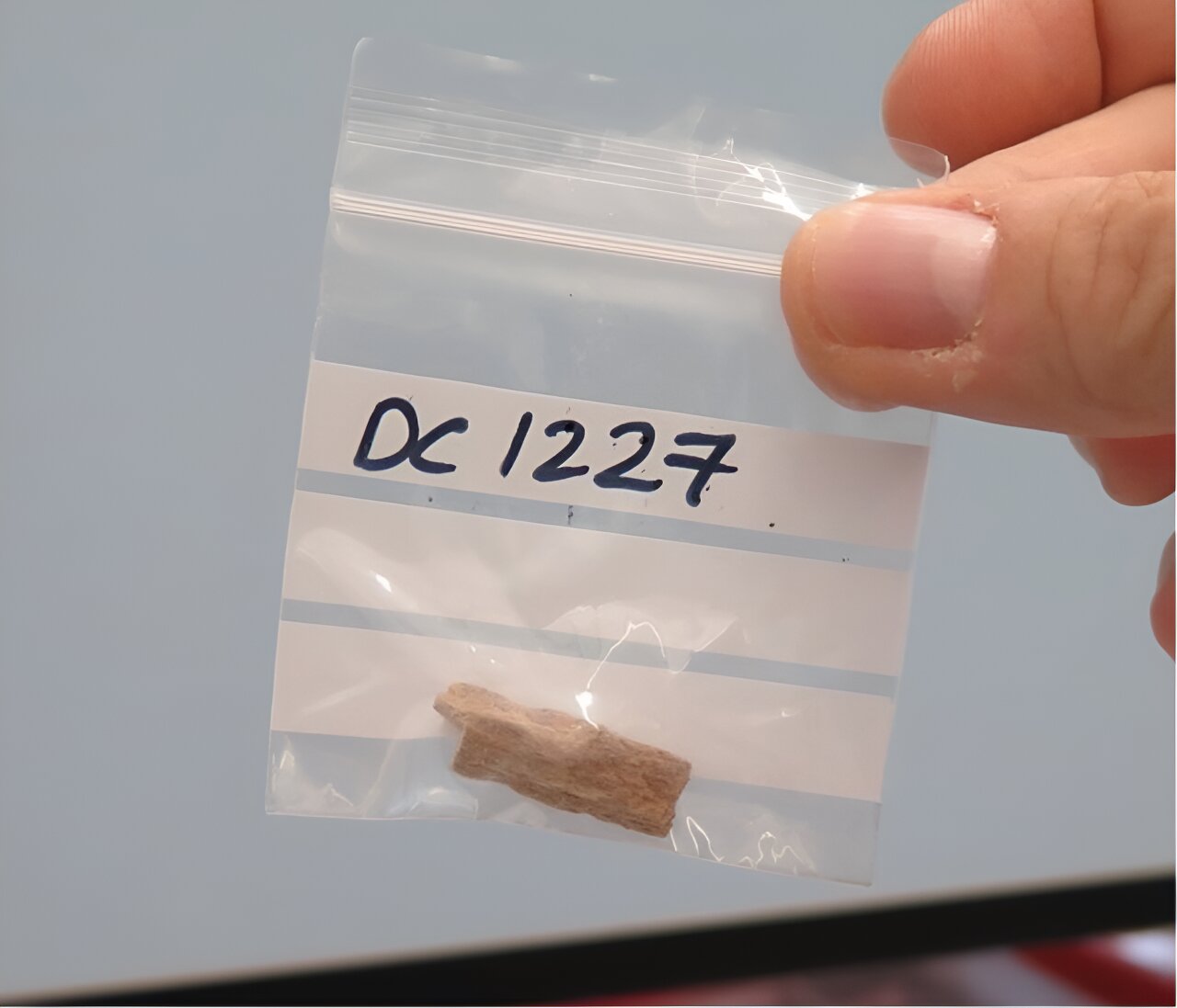 Researchers Investigate Climate Factors Influencing Early Human Interbreeding