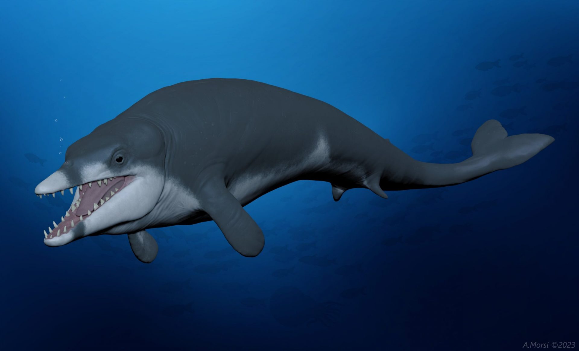 Unveiling Tutcetus: The Young ‘Pharaoh’ of Whales, 41 Million Years Ago