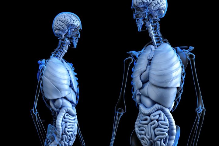 New Method Takes Us Closer to 3D Printing Human Tissues