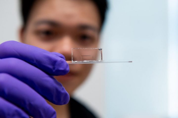 Scientists Develop Smallest Known Method to Guide Light: 2D Optical Waveguides