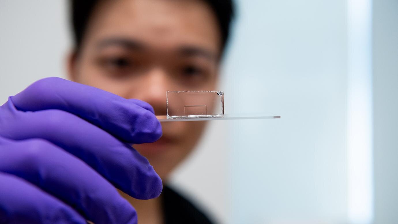 Scientists Develop Smallest Known Method to Guide Light: 2D Optical Waveguides