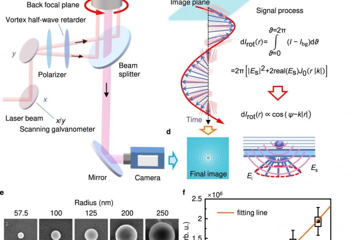 Dynamic Imaging of Interfacial Electrochemistry: A Remarkable Achievement
