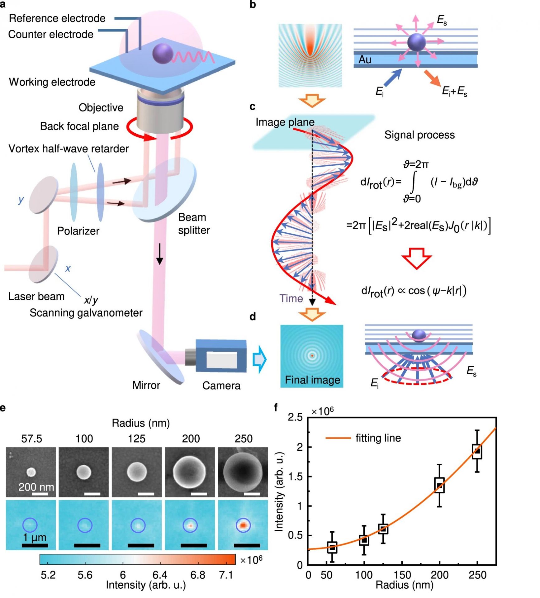 Dynamic Imaging of Interfacial Electrochemistry: A Remarkable Achievement