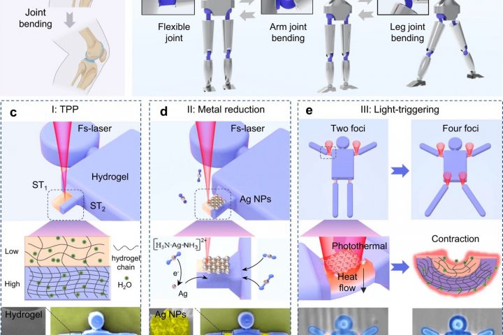 Femtosecond Laser Technique Gives Birth to Dancing Microrobots: Revolutionary Advancement in Multi-Material Microfabrication