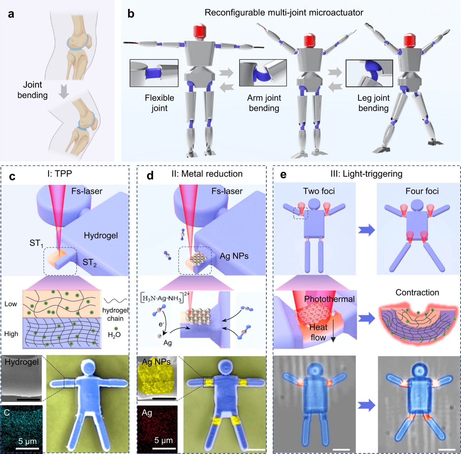 Femtosecond Laser Technique Gives Birth to Dancing Microrobots: Revolutionary Advancement in Multi-Material Microfabrication