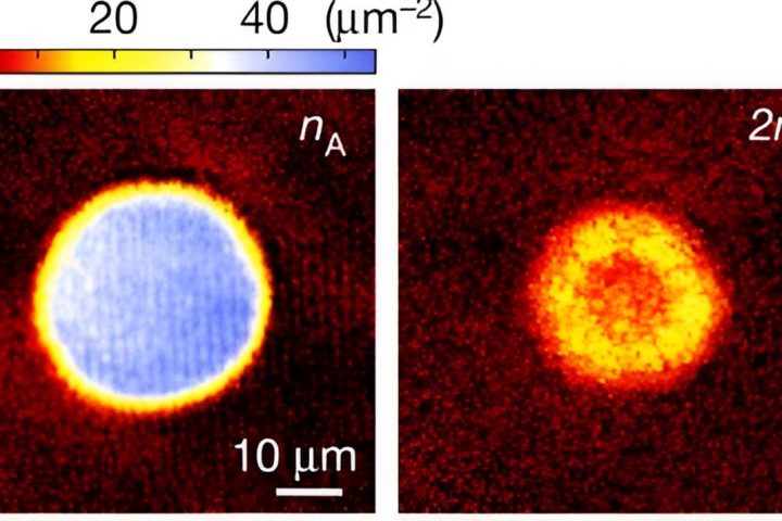 Study Shows Many-Body Chemical Reactions in Quantum Degenerate Gas