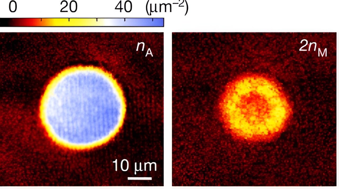 Study Shows Many-Body Chemical Reactions in Quantum Degenerate Gas