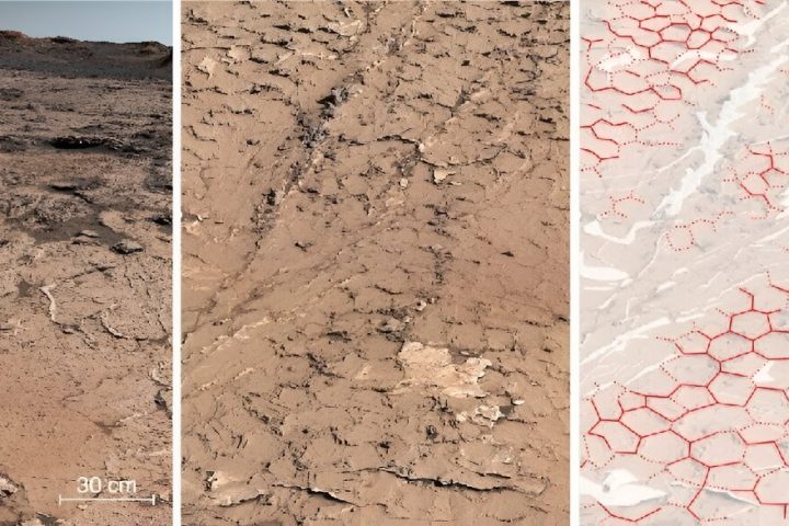 Mars had favorable wet-dry climate for supporting life, reveals study