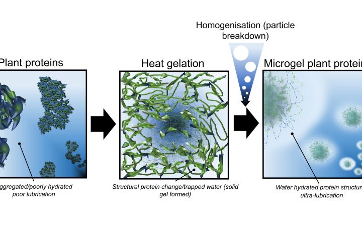 Enhancing the Taste of Plant-Based Meat Alternatives with Protein Microgels