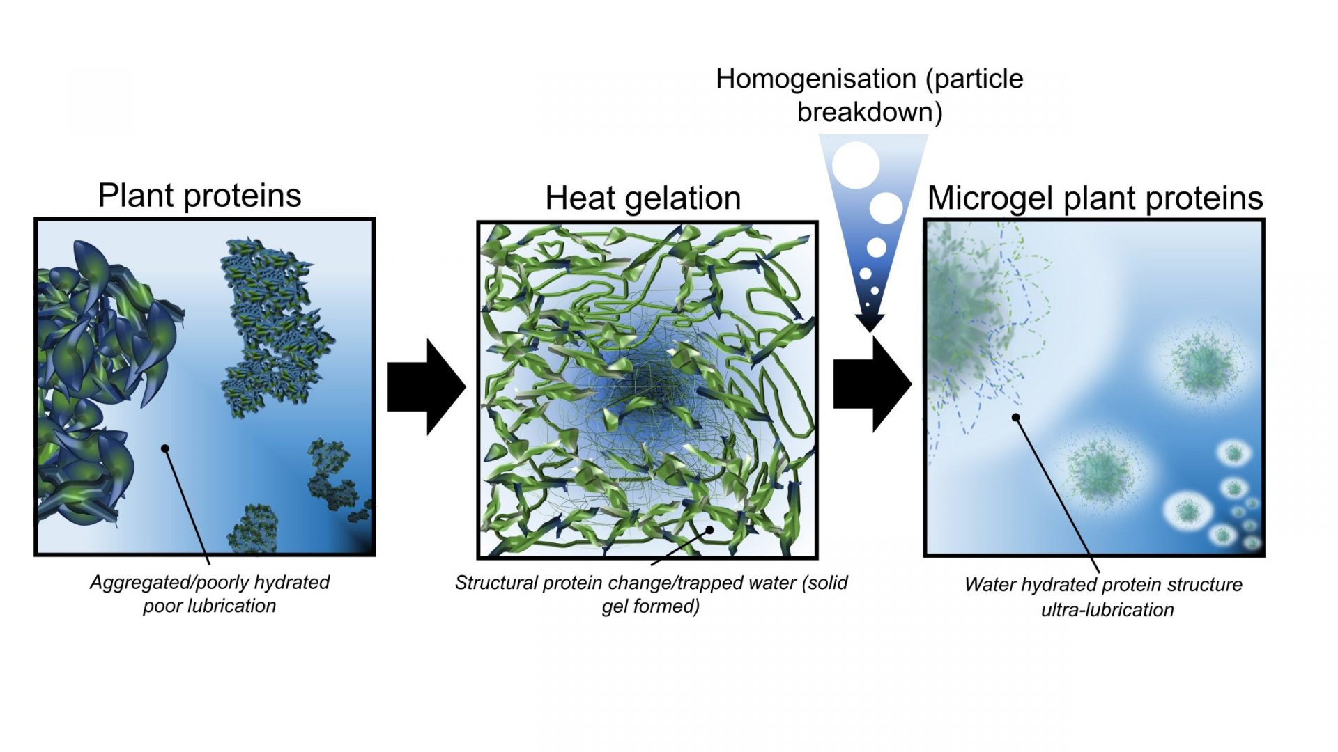 Enhancing the Taste of Plant-Based Meat Alternatives with Protein Microgels