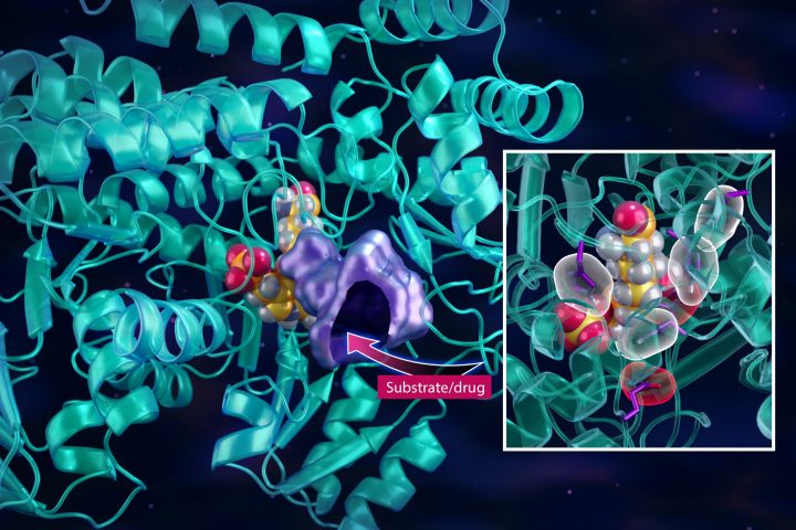 Neutrons Combat Cancer’s Hijacking of Metabolic Highway